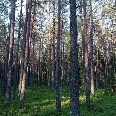 Toomarahva