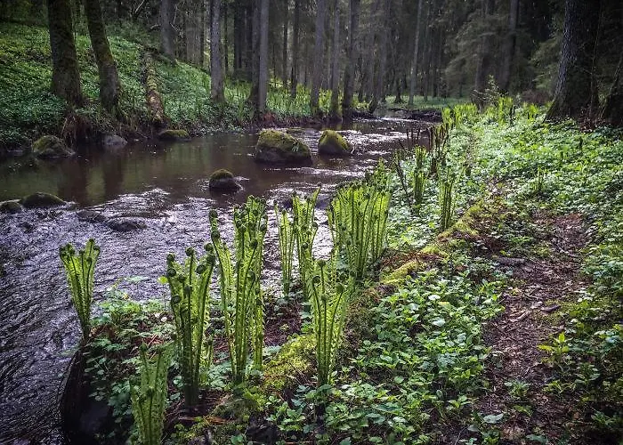 Toomarahva Vakantieboerderij *