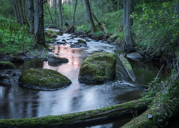 Vakantieboerderij Toomarahva *